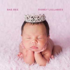 老肥赵邦贺的最新视频
