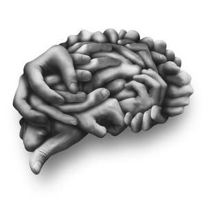 老肥赵邦贺的最新视频
