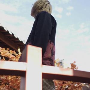 老肥赵邦贺的最新视频
