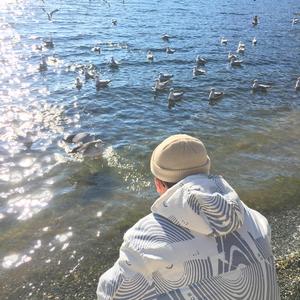 老肥赵邦贺的最新视频
