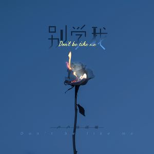 老肥赵邦贺的最新视频
