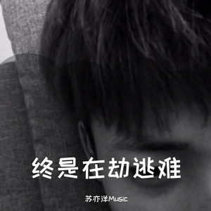 老肥赵邦贺的最新视频
