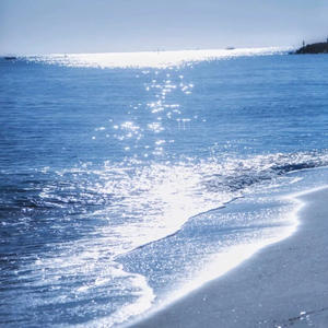 老肥赵邦贺的最新视频
