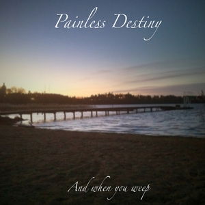 老肥赵邦贺的最新视频
